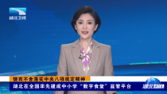 构成“全程通明、可溯、风险可控”的现代化监